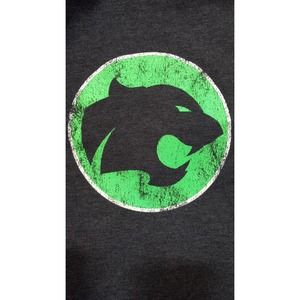 Womens Large Thundercats hoodie cats aquatic team L gray sweatshirt MADE IN USA